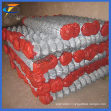 Wire Netting Galvanized Chain Link Wire Mesh